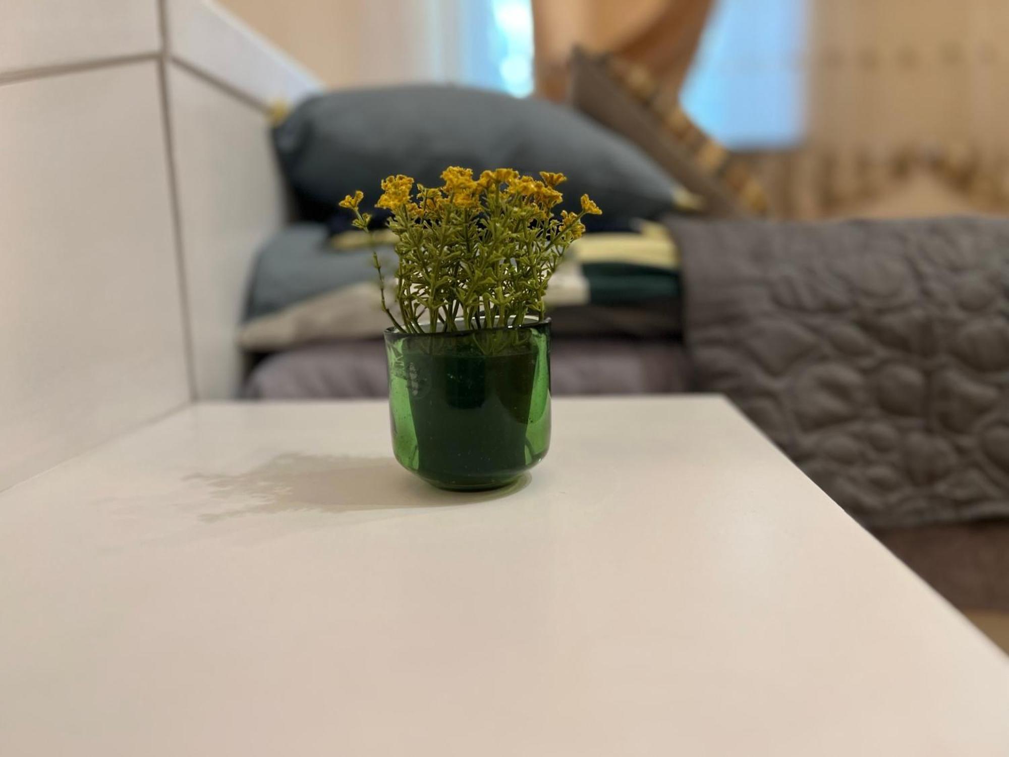 Apartment Cozy In The Centre Of Warschau
